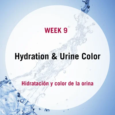 Week_9_Hydration_Urine copy